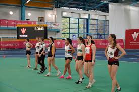 Image result for Pembrokeshire Harriers
