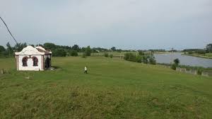 Image result for alnopol