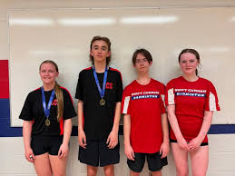 Image result for Swifts Junior (Hatfield) Badminton Club