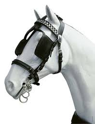 Image result for scheuklappen