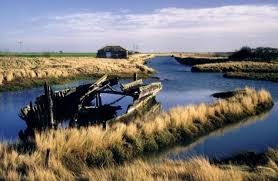 Image result for Thorpe-Le-Soken Bowls Club