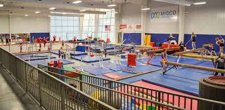 Image result for Gym Stars