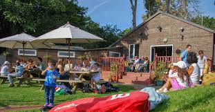 Image result for Gosfield Lawn Tennis Club