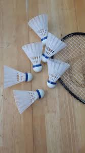 Image result for Saints Badminton Club