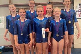 Image result for Woking Gymnastics Club