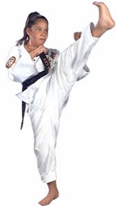 Image result for Martial Arts Karate Mesa AZ