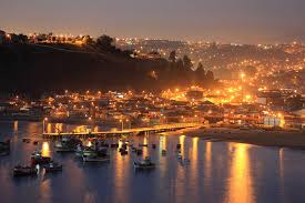 Image result for Lota lota