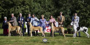 Image result for Great Dane Handball Club, Wapping, London