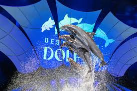 Image result for Dolphina Gc