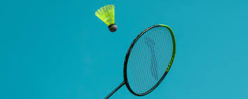 Image result for Active Lives Badminton Club