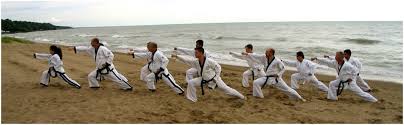 Image result for Arlington Martial Arts Academy