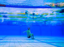 Image result for Huntingdon Piranhas Swimming Club