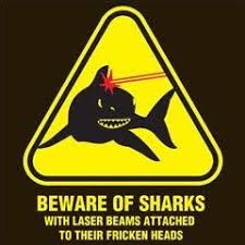 Image result for sharks lasers
