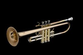Image result for inlet trumpet