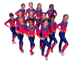 Image result for Horizon Team Gym Club