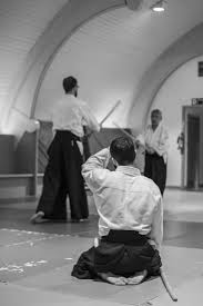 Image result for Newcastle Aikido Club
