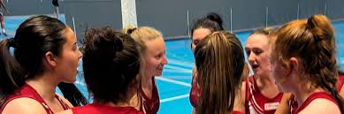 Image result for Hull Chevrons Netball Club