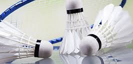 Image result for Racqueteers Junior Badminton Club