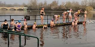 Image result for Serpentine Swimming Club