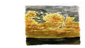 Attēlu rezultāti vaicājumam “Crustoderma dryinum”