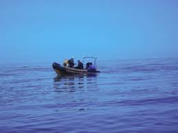 Image result for Eltham and District Sub Aqua Club