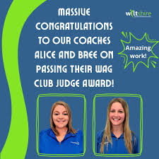 Image result for Wiltshire School Of Gymnastics