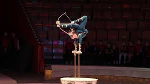 Image result for L&G Acrobatics