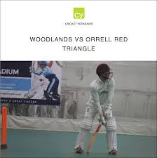 Image result for Orrell Red Triangle Cc