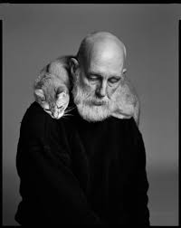 Bildergebnis für edward gorey