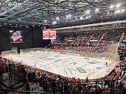 Image result for Sheffield Steelers