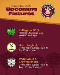 Image result for Virginia Water Fc