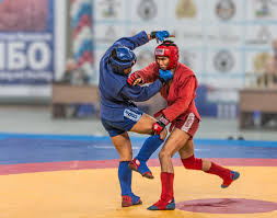 Image result for Combat Sambo