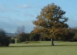 Image result for Broome Manor Golf Club