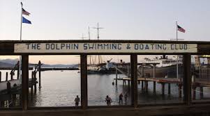 Image result for Dolphin Badminton Club