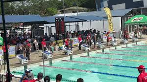 Image result for Gosport Dolphins Swimming Club