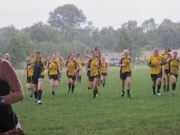 Image result for Ballerin Gaelic Athletic Club