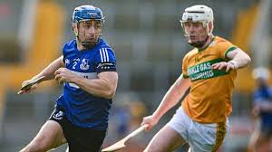 Image result for Patrick Sarsfield Gaelic Athletic Club