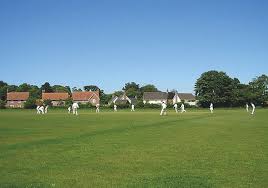 Image result for Yoxford Cricket Club