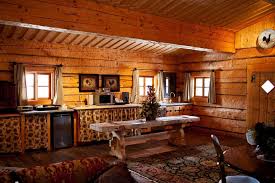 Image result for Enzian