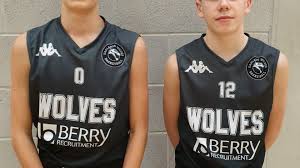 Image result for West Herts Warriors Basketball Club