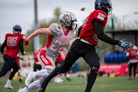 Image result for Edinburgh Wolves