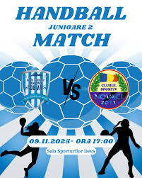 Image result for Deva Handball Club