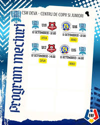 Image result for Deva Handball Club