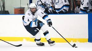 Image result for Stirling Ice Rink Sports Club