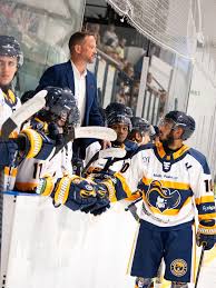 Image result for Romford Raiders