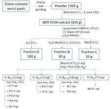 Attēlu rezultāti vaicājumam “Silene wolgensis”