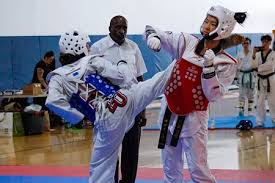 Image result for Invertay Taekwondo Club