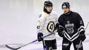 Image result for Nottingham Panthers