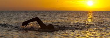 Image result for SwimSwansea