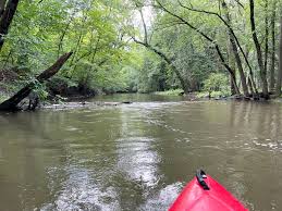 Image result for Castle Hill Canoe and Kayak Club